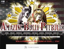 Tablet Screenshot of amazingbullypitbulls.com